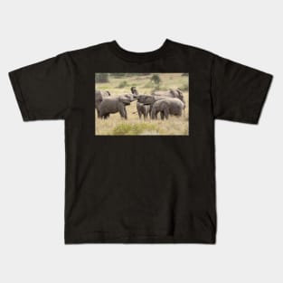 Tusk To Tusk: Wild Elephants, Tanzania Kids T-Shirt